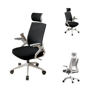 Ghế công thái học cao cấp VDE006