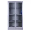 Tủ tài liệu sắt 2 cánh kính THSVP-TL-K2CK-HS01