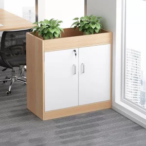 Tủ cây trang trí Anh Kiệt TC03 - Đẳng cấp văn phòng hiện đại