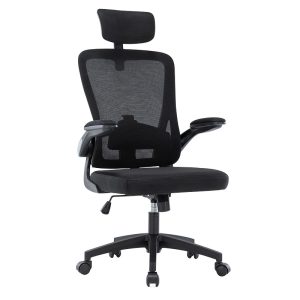 Ghế công thái học cao cấp VDE006