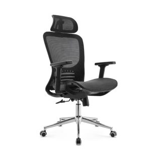 Ghế công thái học cao cấp VDE006