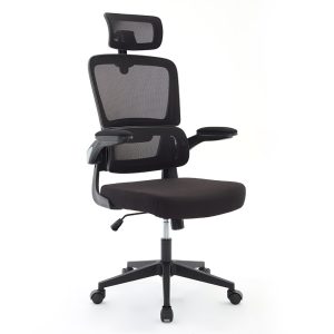 Ghế công thái học cao cấp VDE006