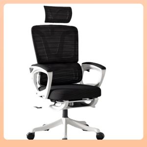 Ghế công thái học cao cấp VDE006