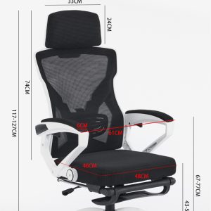 Ghế công thái học cao cấp VDE006