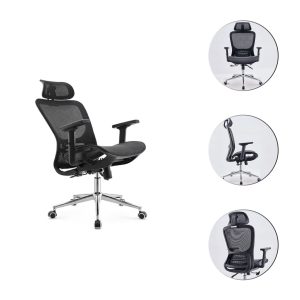 Ghế công thái học cao cấp VDE006